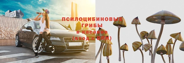 МДПВ Саяногорск