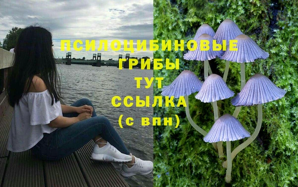 mdma Бородино