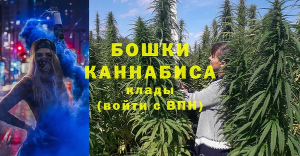 МДПВ Саяногорск