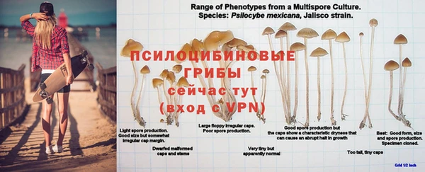 дистиллят марихуана Бугульма